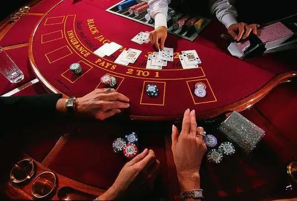 Pengaturan akun dalam aplikasi casiobet88